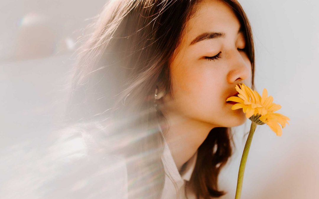 A vida é um sonho tornado realidade