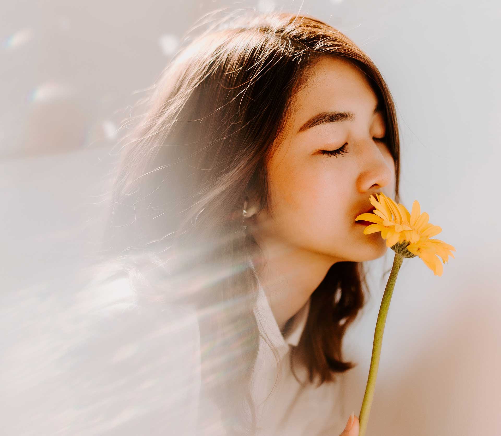 A vida é um sonho tornado realidade