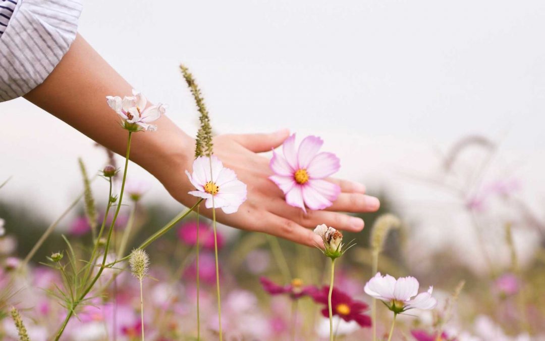 Agora quero ir-me embora