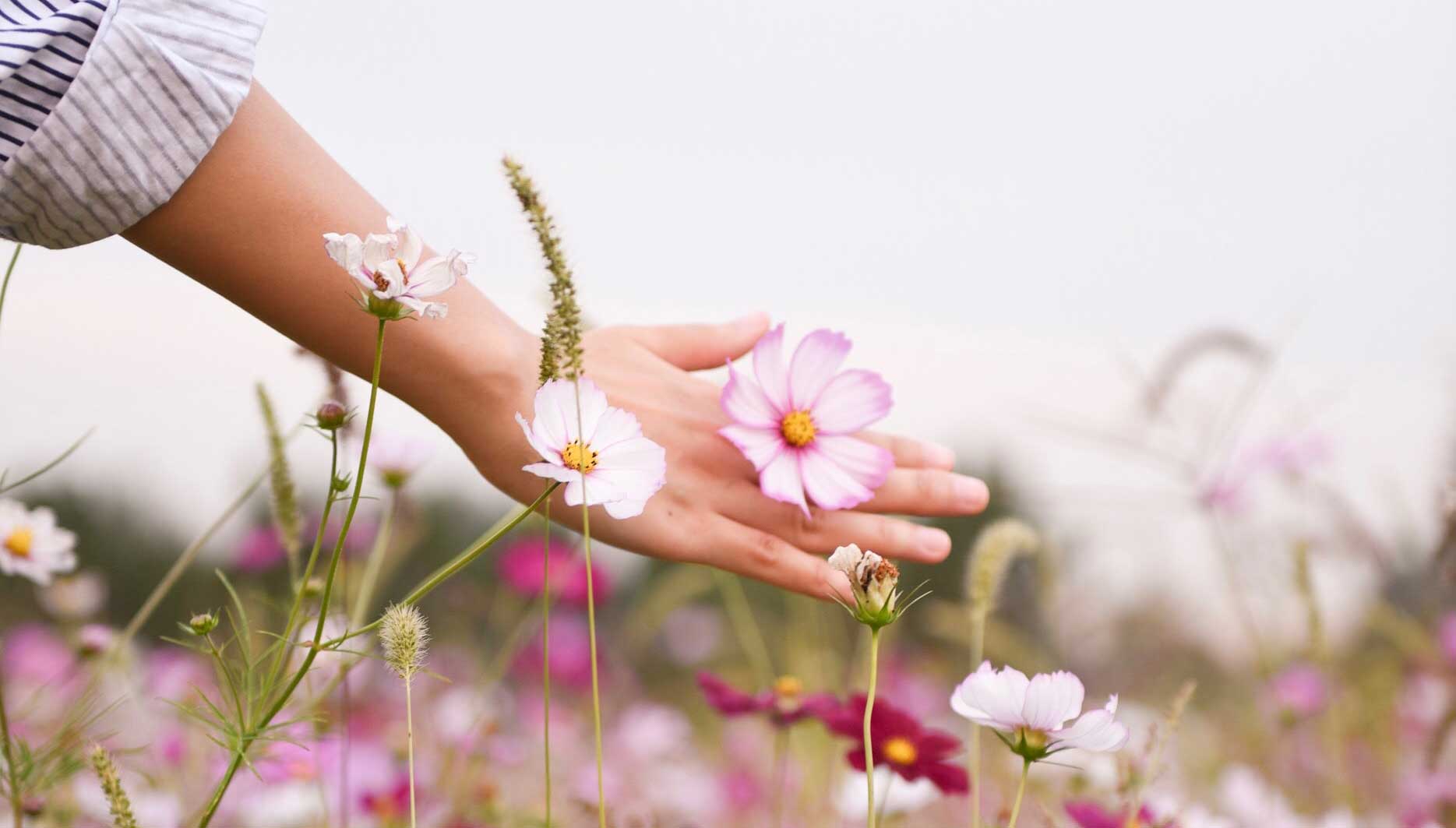 Agora quero ir me embora